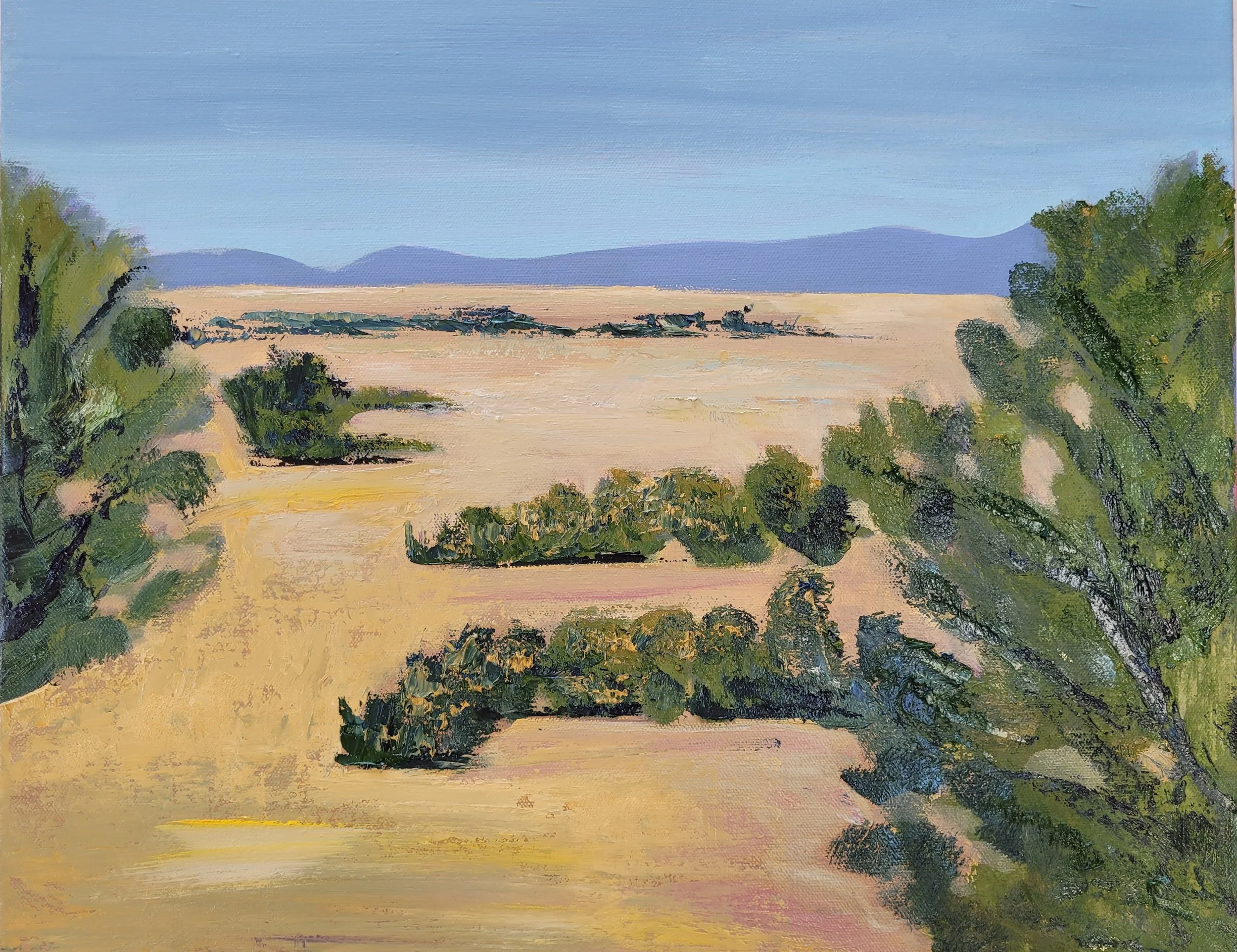 Lazy Afternoon - Colorado Mountain Oil Painting 16x20 — Colorado